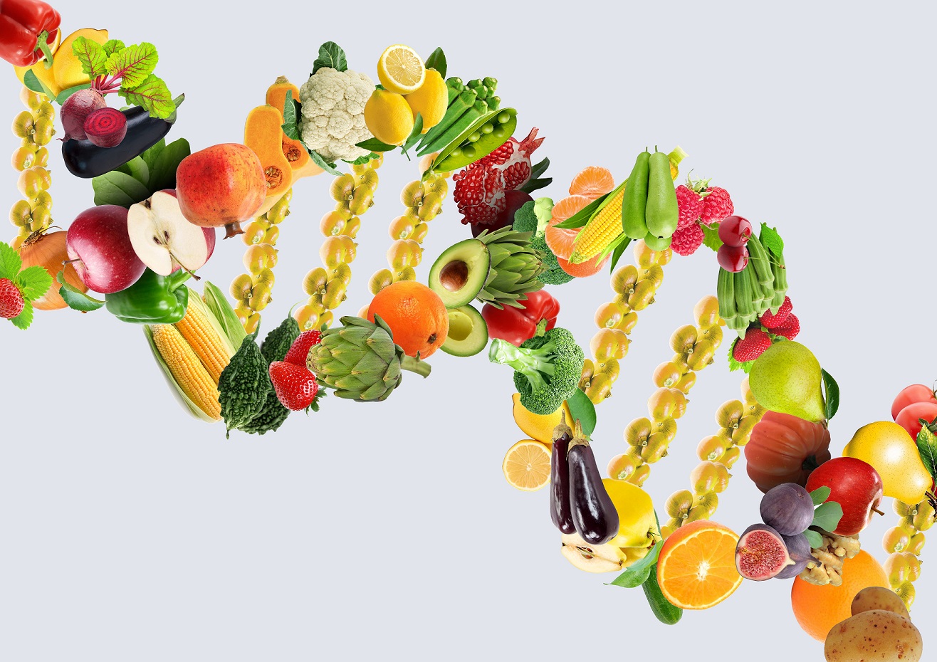 What Food Does Your DNA Crave? Secret Sequence